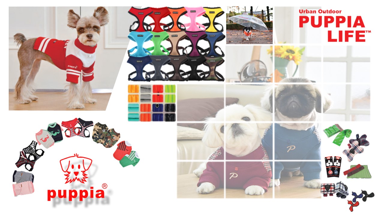 Dog Harness and leash,bed, house,cloth